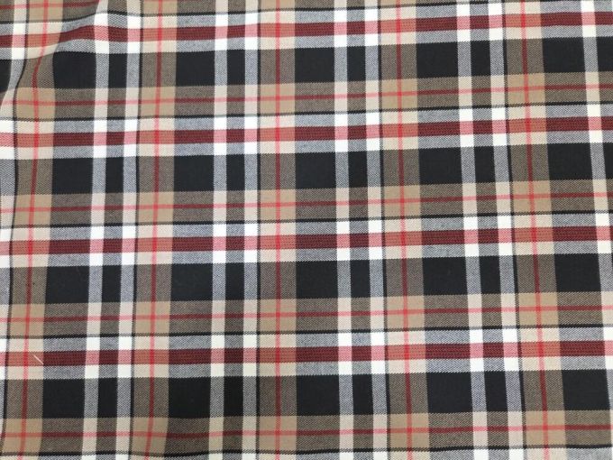 Καπαρτίνα 'Burberry style'